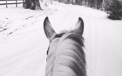 Winter Self-Care: What the Season — and the Horses — Teach Us About Slowing Down