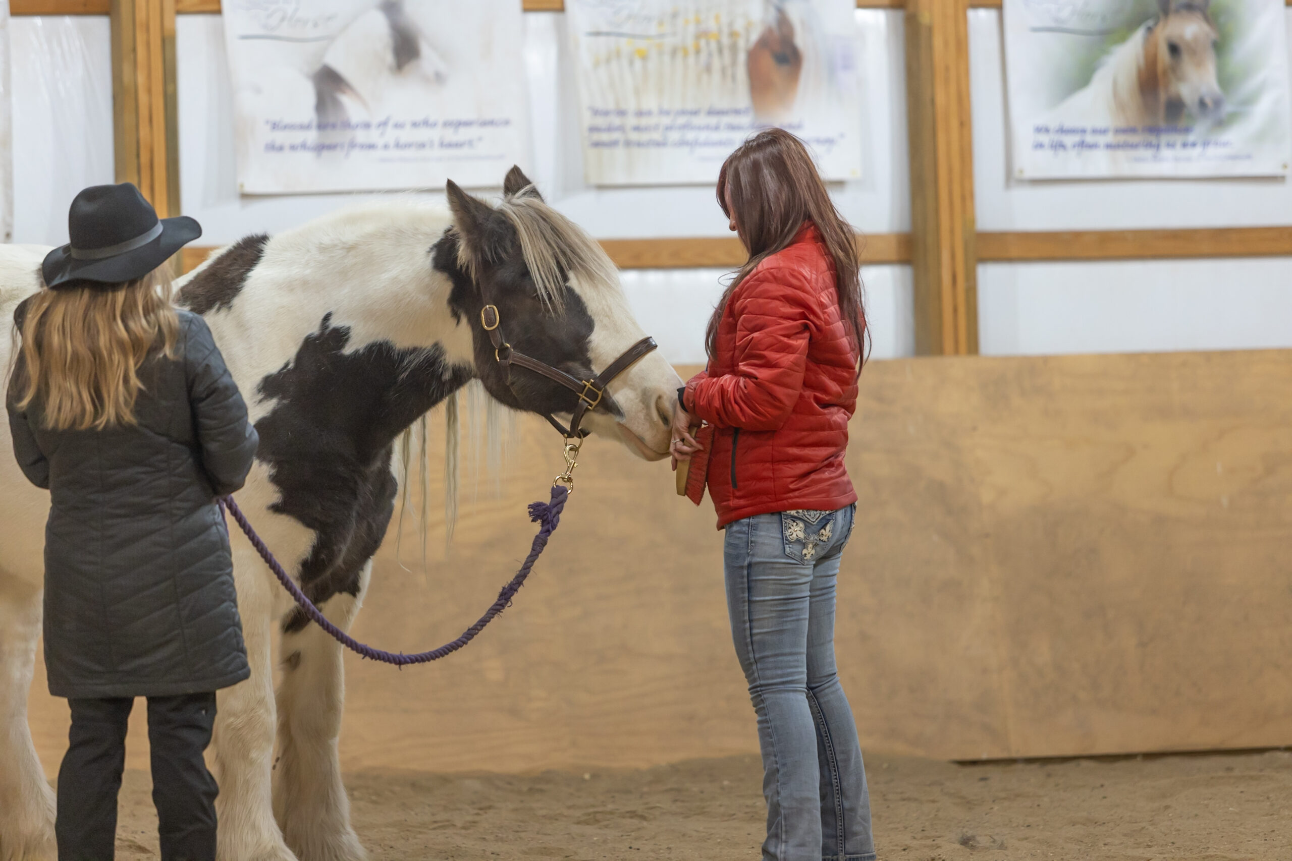 human and horse connection