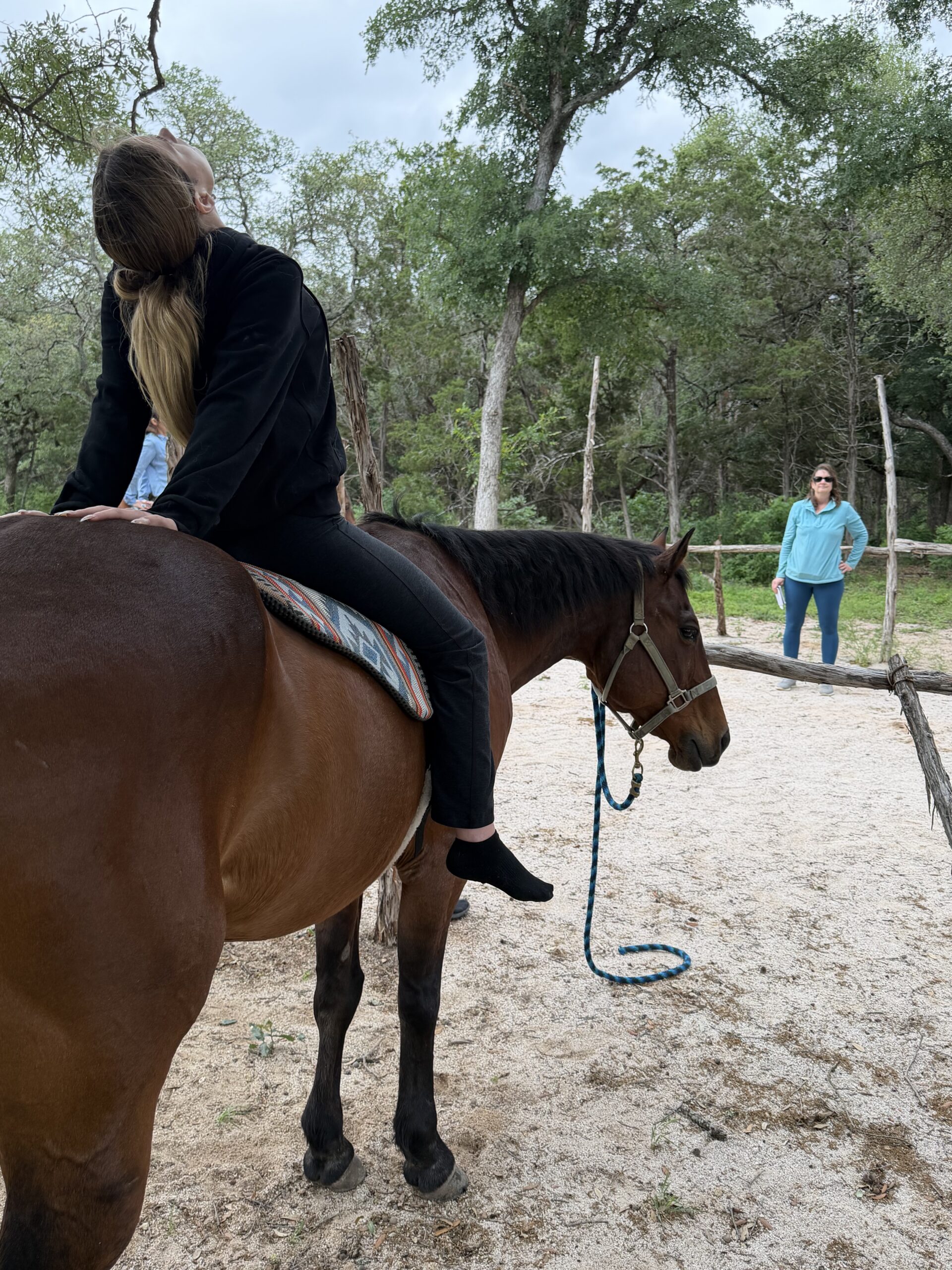 Equine yoga 