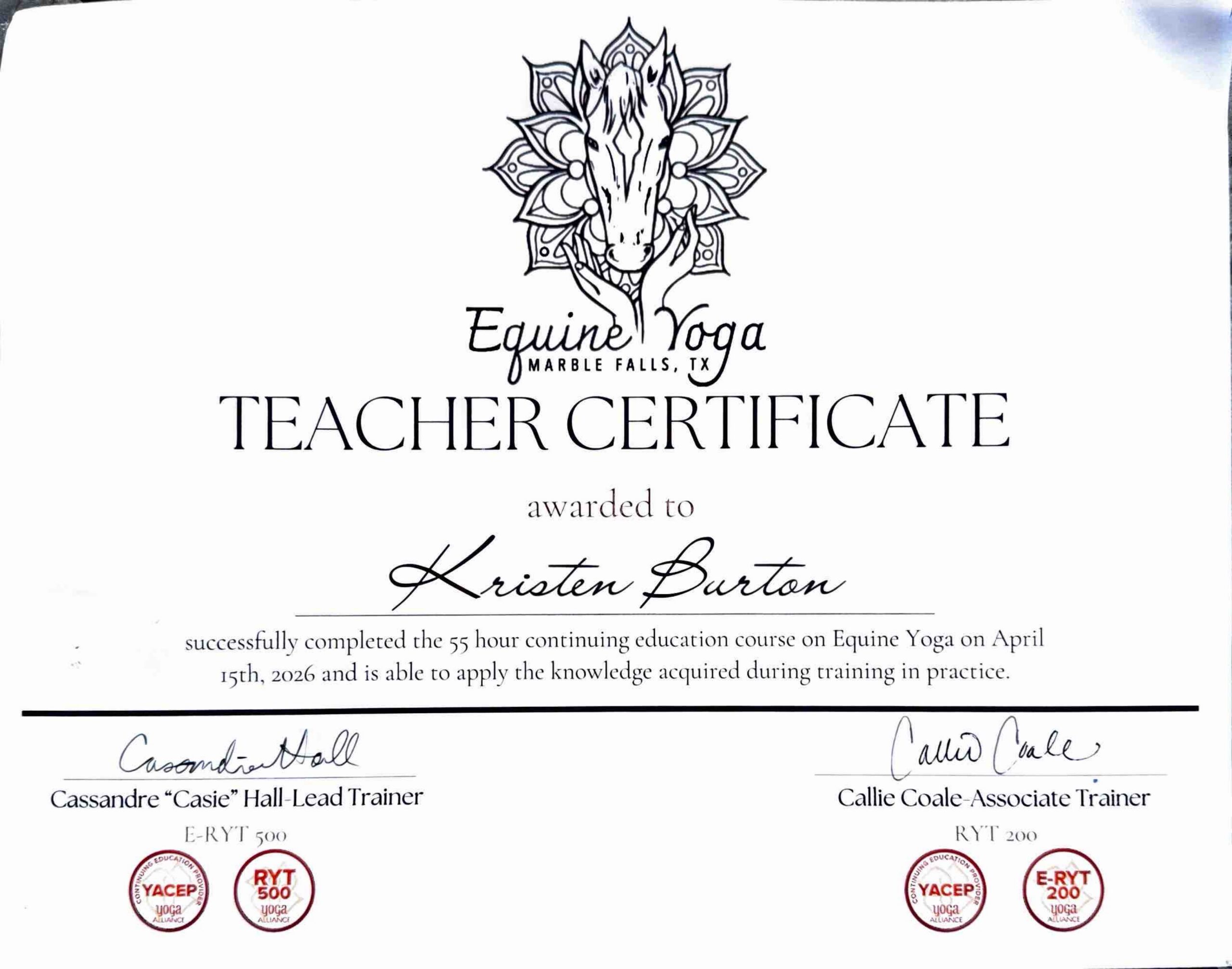 Equine Yoga Teacher Certificate